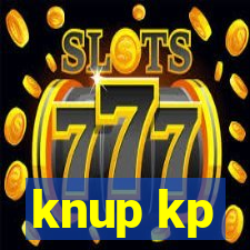 knup kp-t89 driver